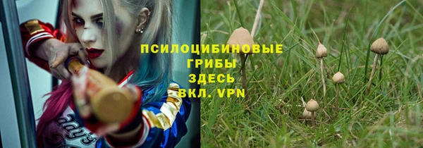 прущие крисы Балахна