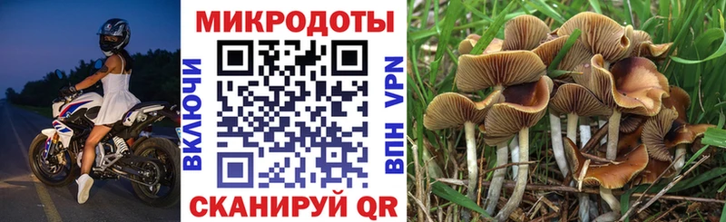 Галлюциногенные грибы мухоморы  что такое наркотик  Гай 